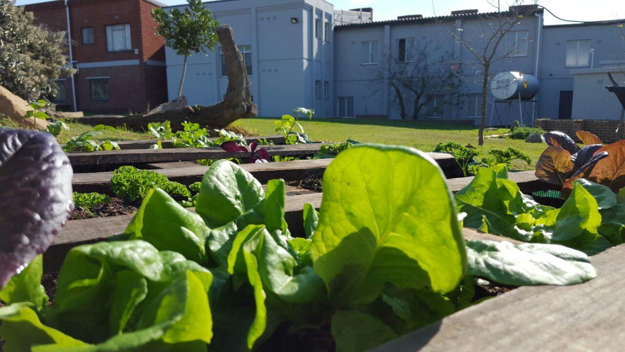 The Backpack Shack Hostel Mossel Bay Exterior foto